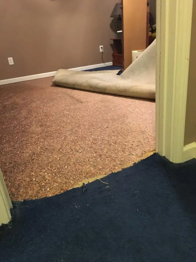 Carpet pad removal revealing water damage during Water Mitigation Services in Greenbelt