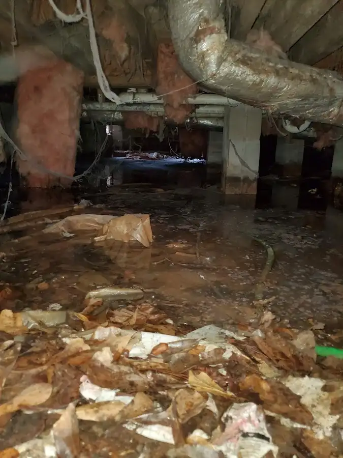 Crawl space flood assessment for Leak Detection & Repair in Greenbelt